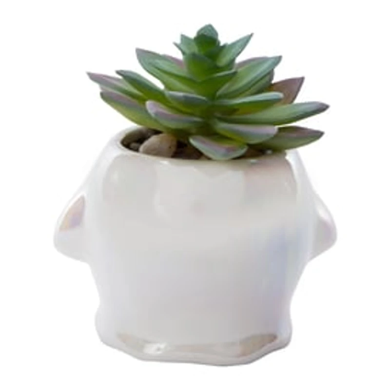 Ghost Faux Succulent