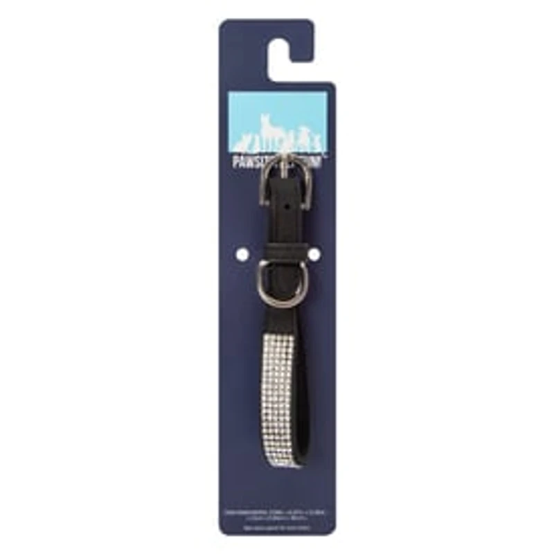 Pawsitively Fun! Jewel Pet Collar