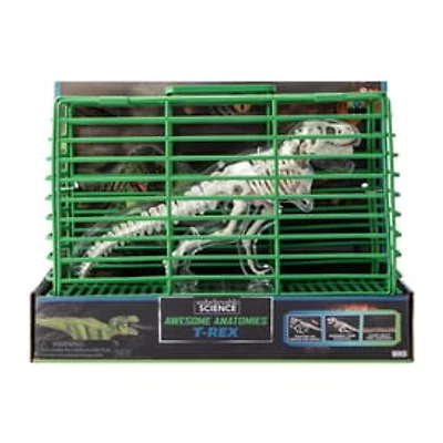 Unbelievable Science Awesome Anatomies Kit
