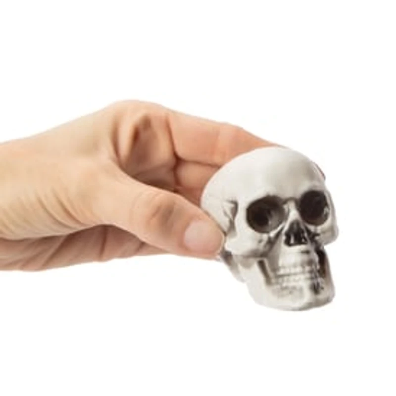 Halloween Decorative Skulls 6-Pack