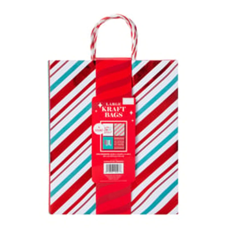 Large Kraft Gift Bag 4-count