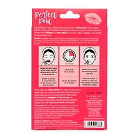 Danielle® Perfect Pout Hydrogel Lip Masks 5-Pack - Rose Water Collagen