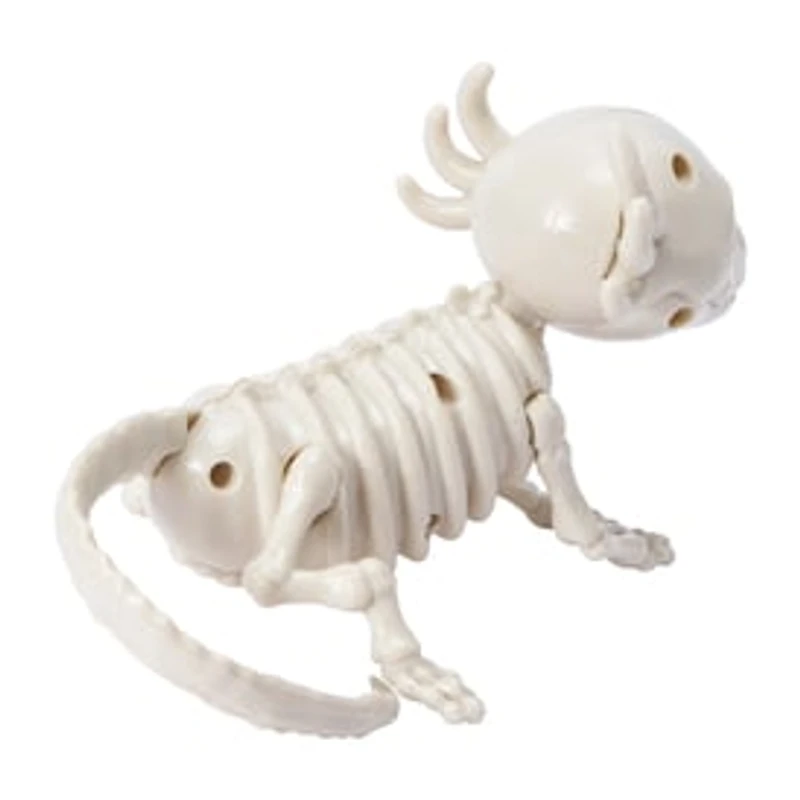 Halloween Skeleton Axolotyl Décor