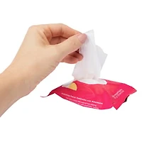 Burt's Bees® Hydrating Facial Towelettes With Watermelon 10-Count