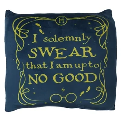 Harry Potter™ Squishy Throw Pillow 14in