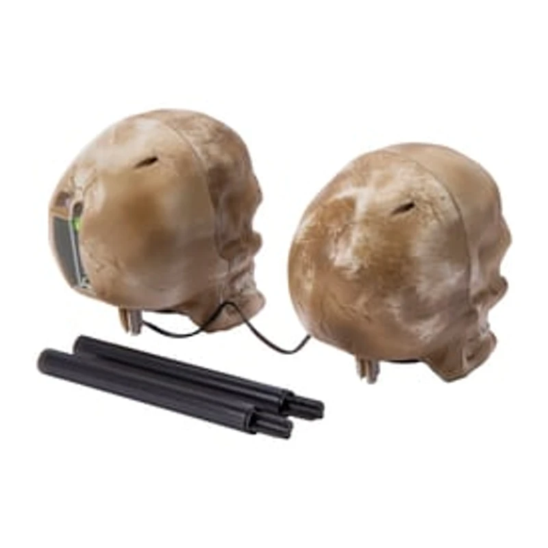 Halloween Skull Stakes 2-Pack