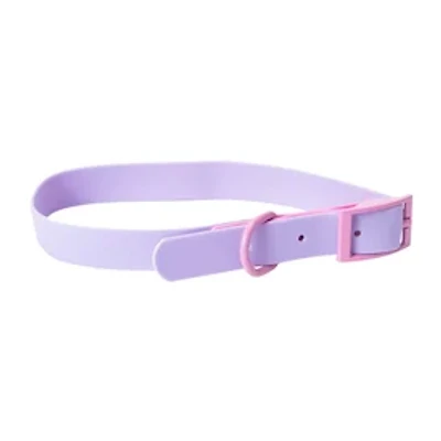 Pawsitively Fun! Pet Collar