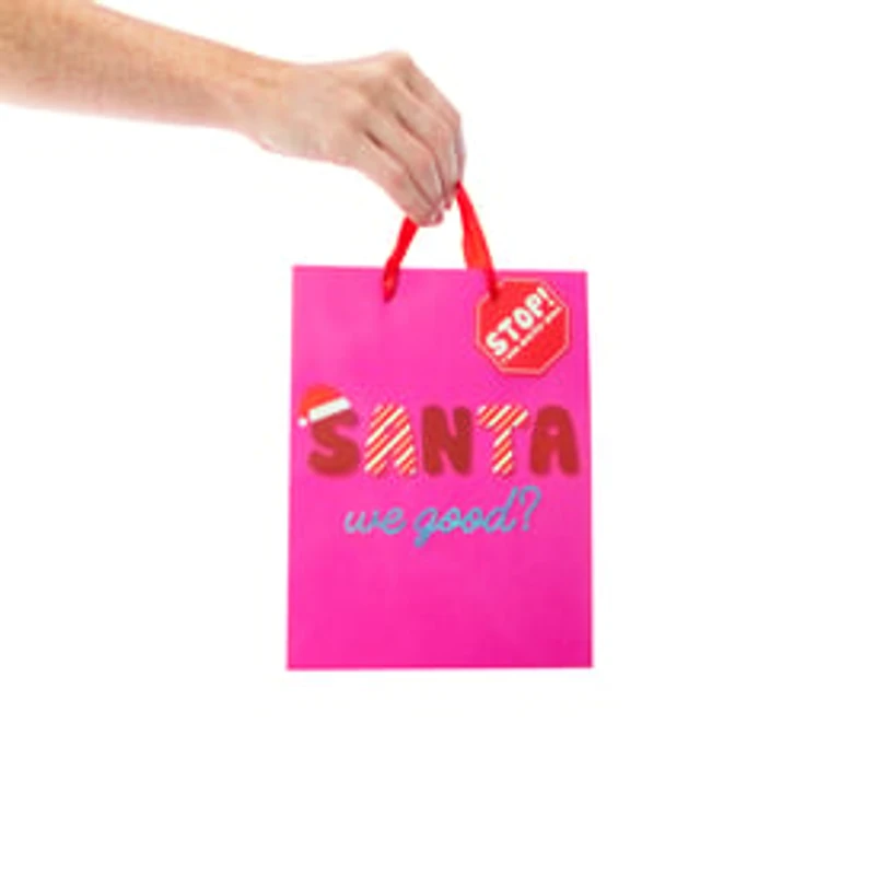 Christmas Gift Bag - ‘Santa, We Good?’