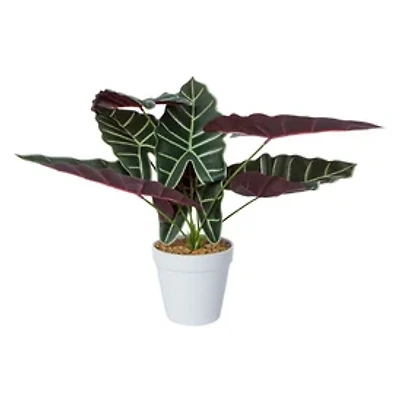 Faux Plant