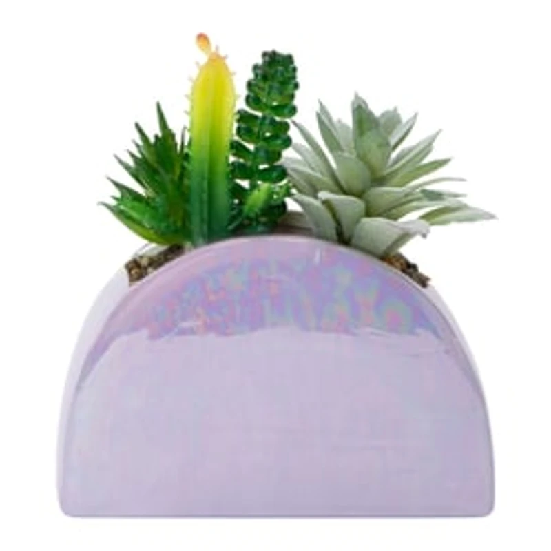 Rainbow Ceramic Faux Plant 5.9in x 6.5in
