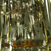 Gold Fringe Backdrop