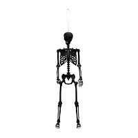 Halloween Skeleton 5.5ft.