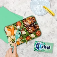 ORBIT Gum Sweet Mint Sugar Free Chewing Gum, Single Pack, 14 Piece