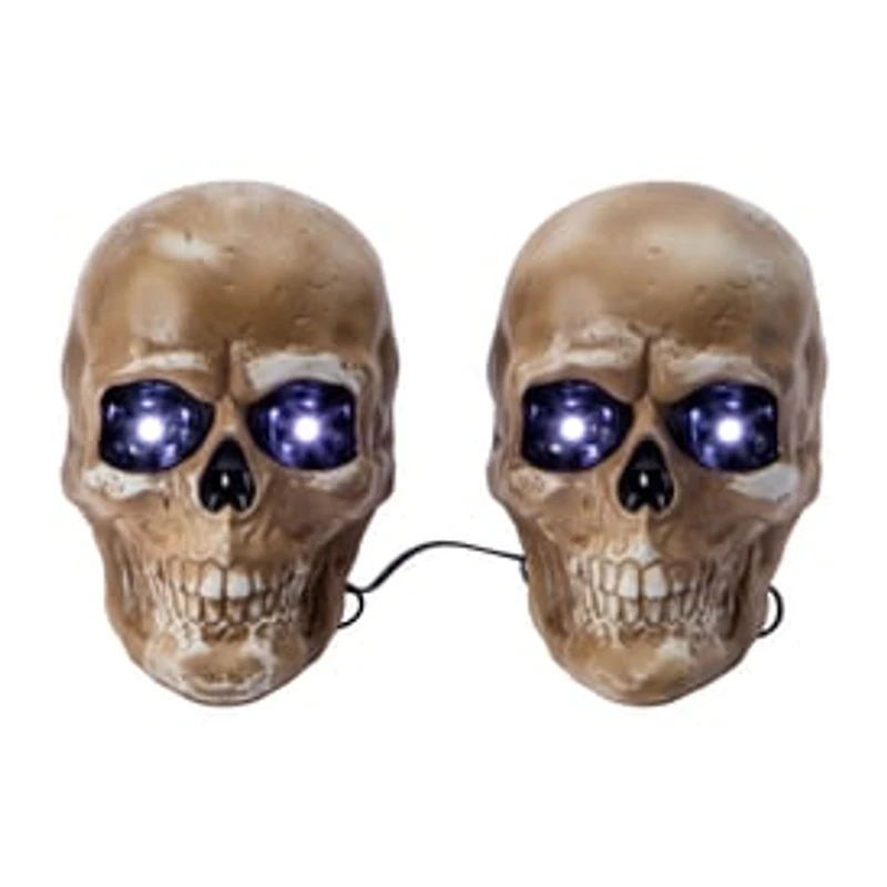 Halloween Skull Stakes 2-Pack