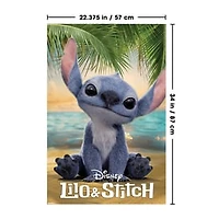 Wall Posters 22.3" x 34"