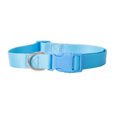 Dog Collar