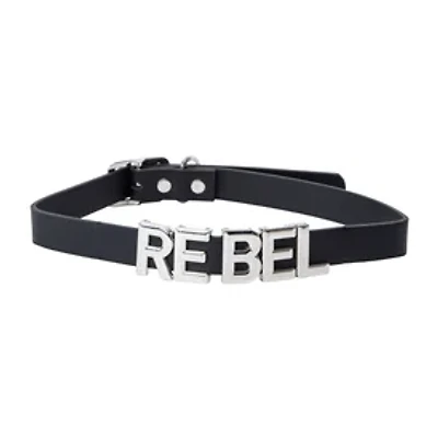 Large Pet Jewelry