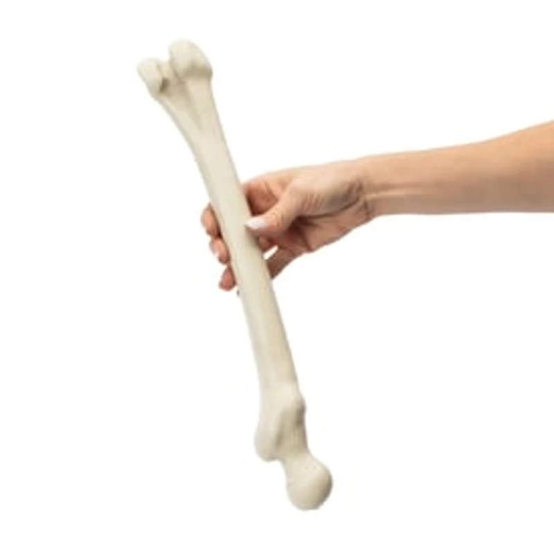 Halloween Leg Bone Décor