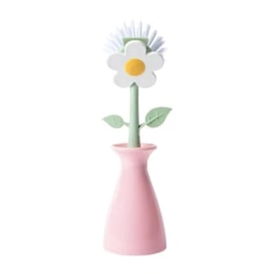 Dish Brush & Holder