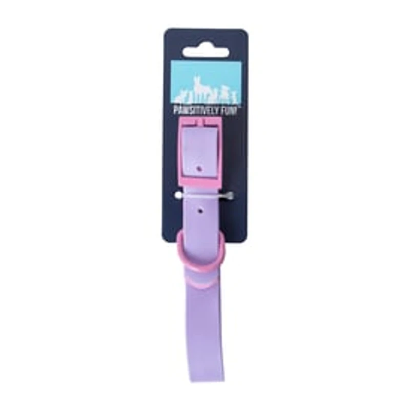 Pawsitively Fun! Pet Collar
