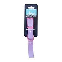 Pawsitively Fun! Pet Collar