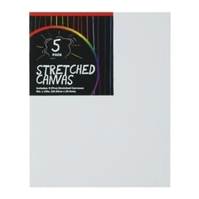 8in x 10in Stretched Canvas 5-Pack