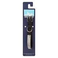 Pawsitively Fun! Jewel Pet Collar