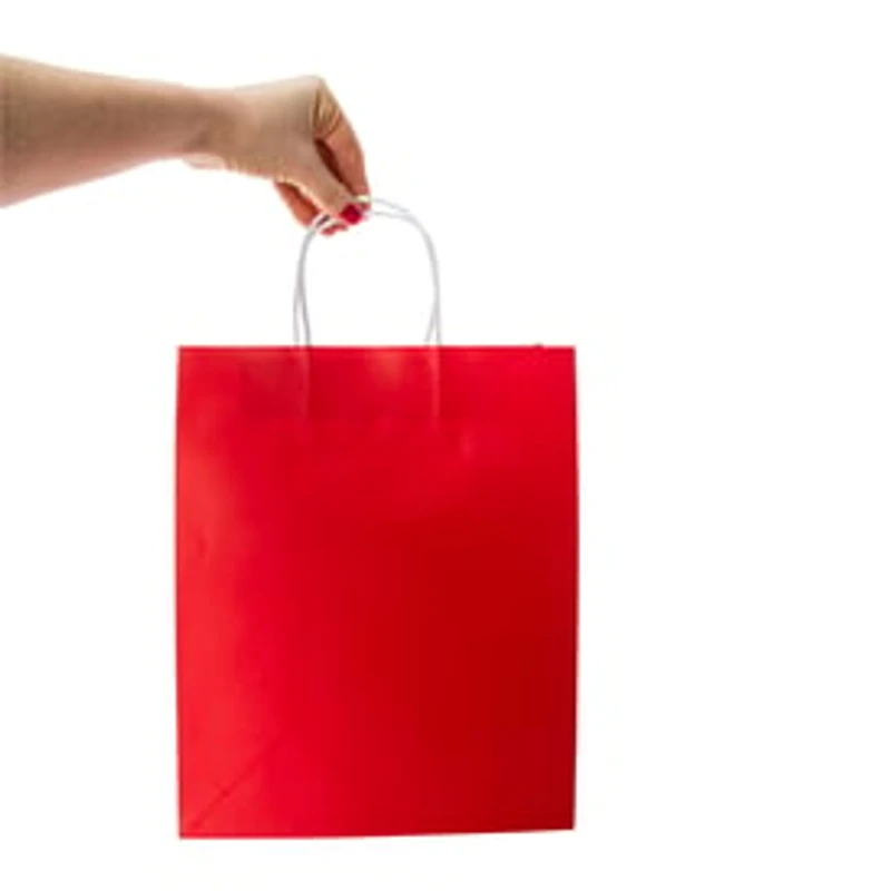 Large Kraft Bags 5-Pack