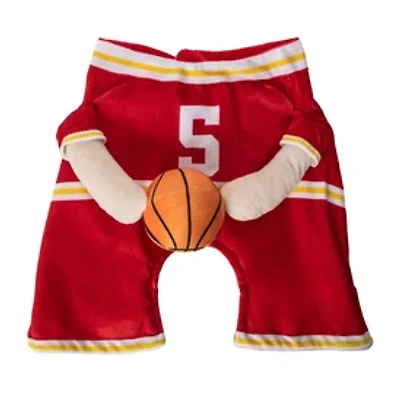 Halloween Basketball Player Pet Costume