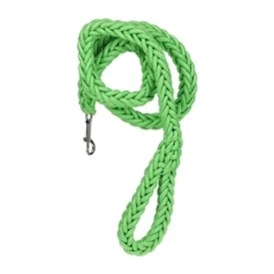 Braided Pet Leash 4ft