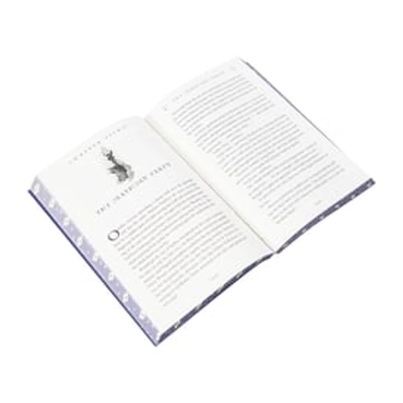 Harry Potter And The Chamber Of Secrets Book