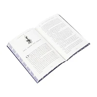 Harry Potter And The Chamber Of Secrets Book