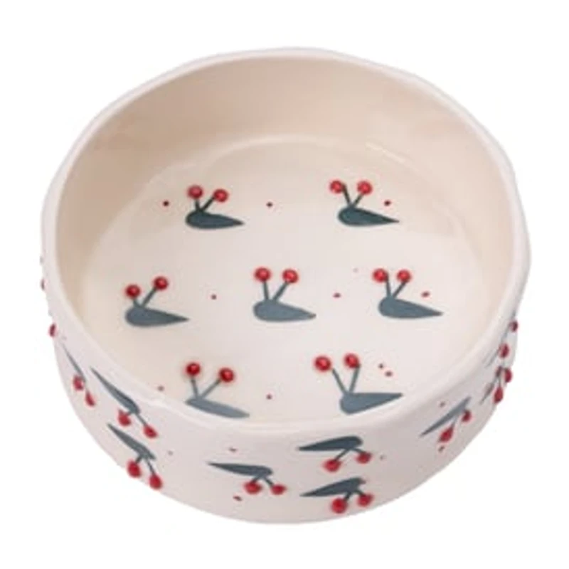 Printed Pet Ceramic Bowl