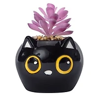 Halloween Faux Succulent 4in