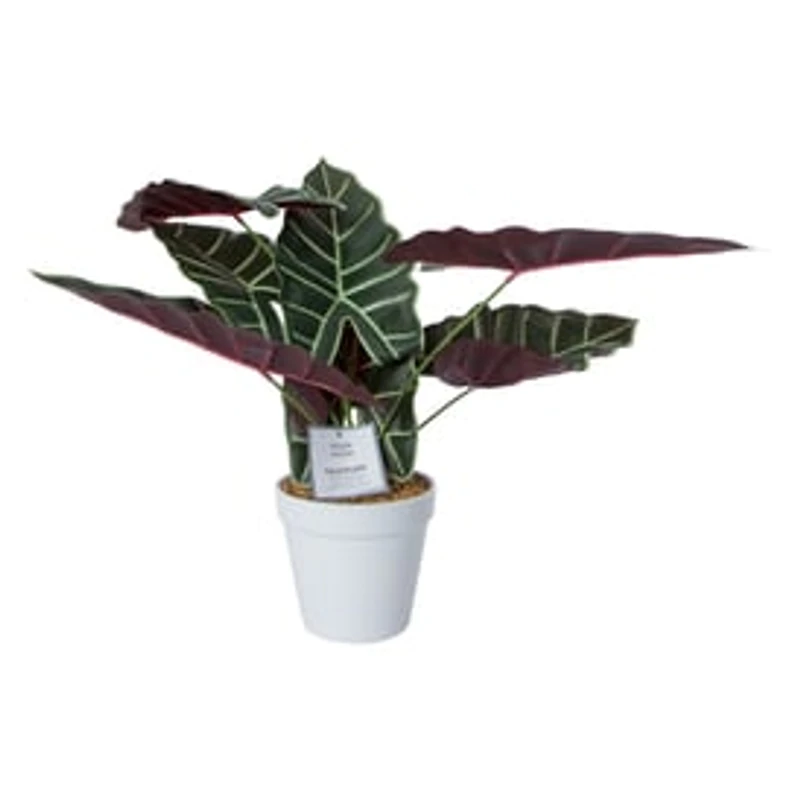 Faux Plant
