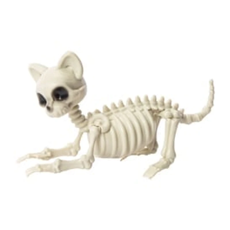 Halloween Cat Skeleton