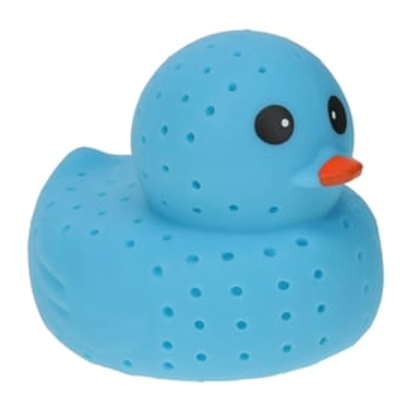 Splash Duck Toy