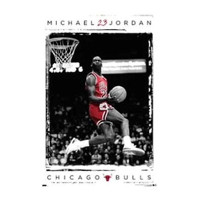 Michael Jordan Chicago Bulls Poster 22.37in x 34in