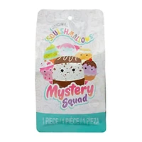 Squishmallows™ Mystery Squad (Styles May Vary)