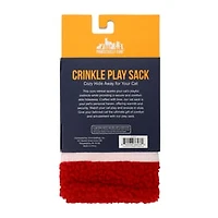 Pawsitively Fun™ Crinkle Play Sack For Cats