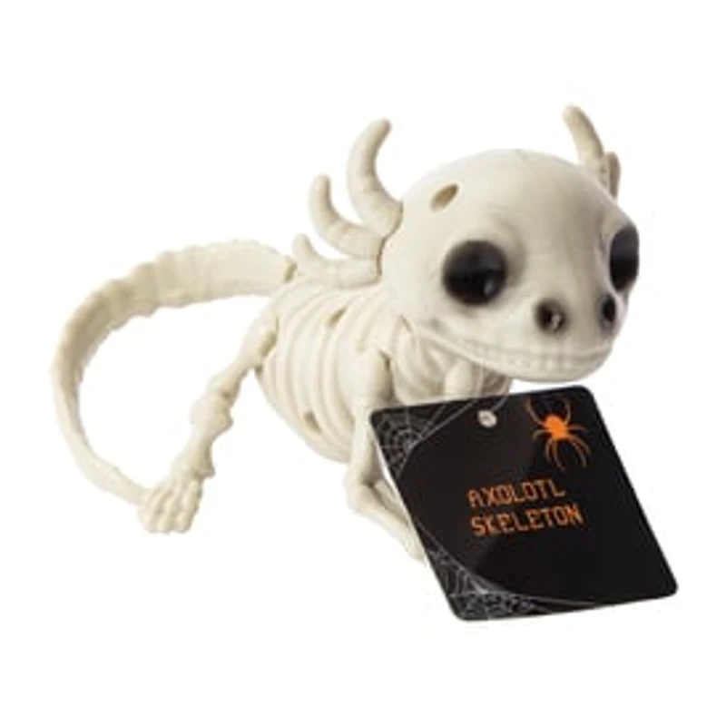 Halloween Axolotl Skeleton