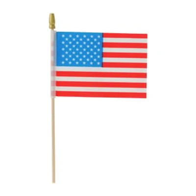 Mini Flags 5-Pack
