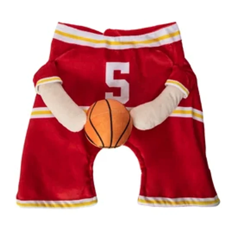 Halloween Basketball Player Pet Costume