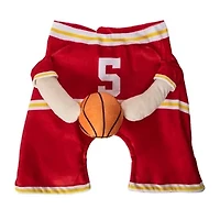 Halloween Basketball Player Pet Costume