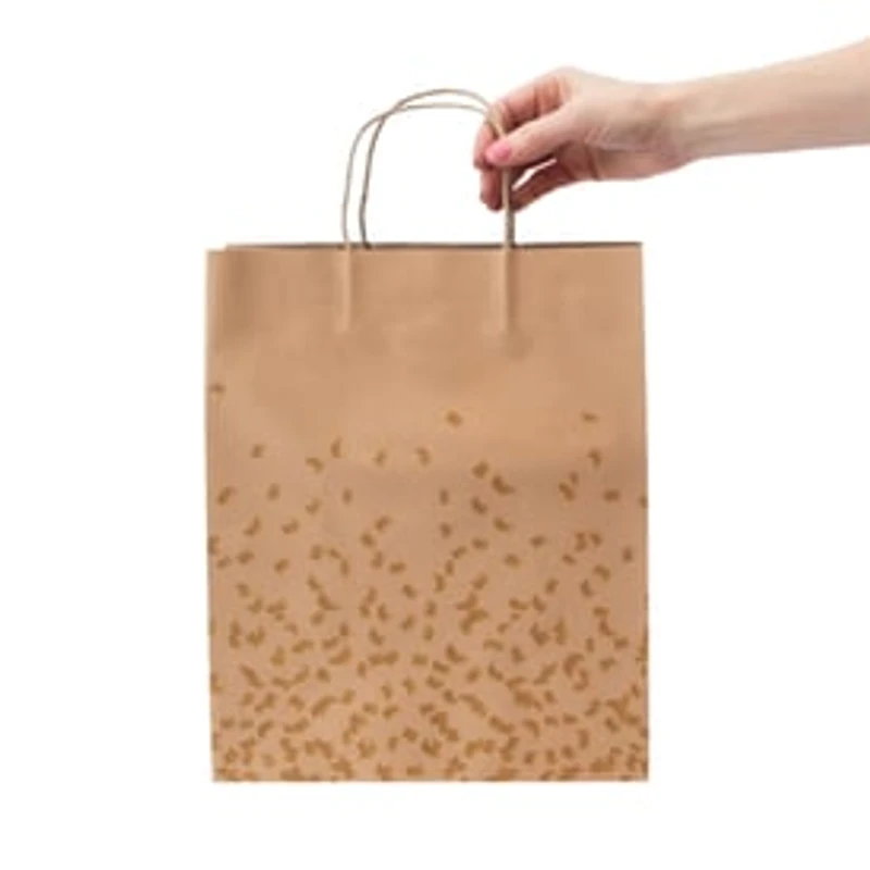 Large Kraft Gift Bags 5-Count