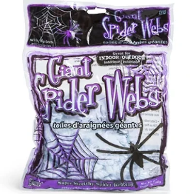 Giant White Spider Web Decoration