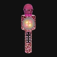 Karaoke Microphone