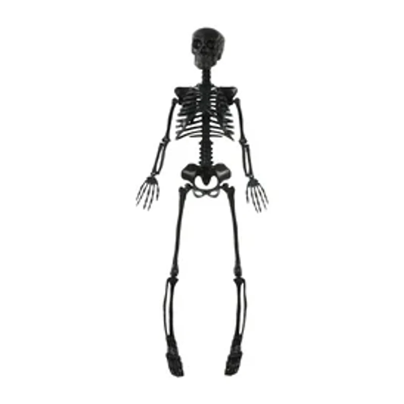 Posable Skeleton
