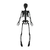 Posable Skeleton