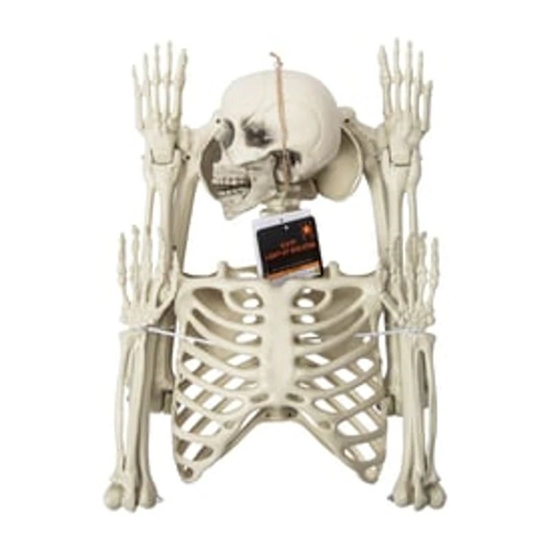 Halloween Light-Up Skeleton